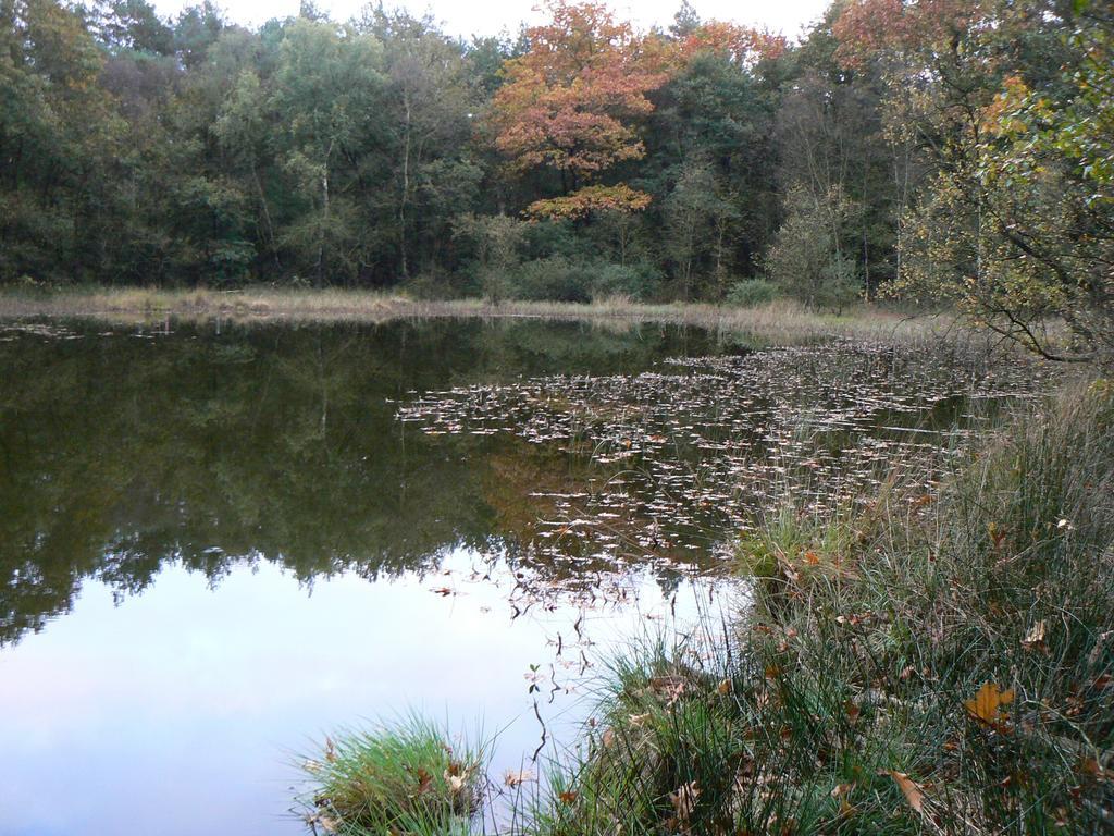 Hoeve Den Anholt Ruinen Exterior photo
