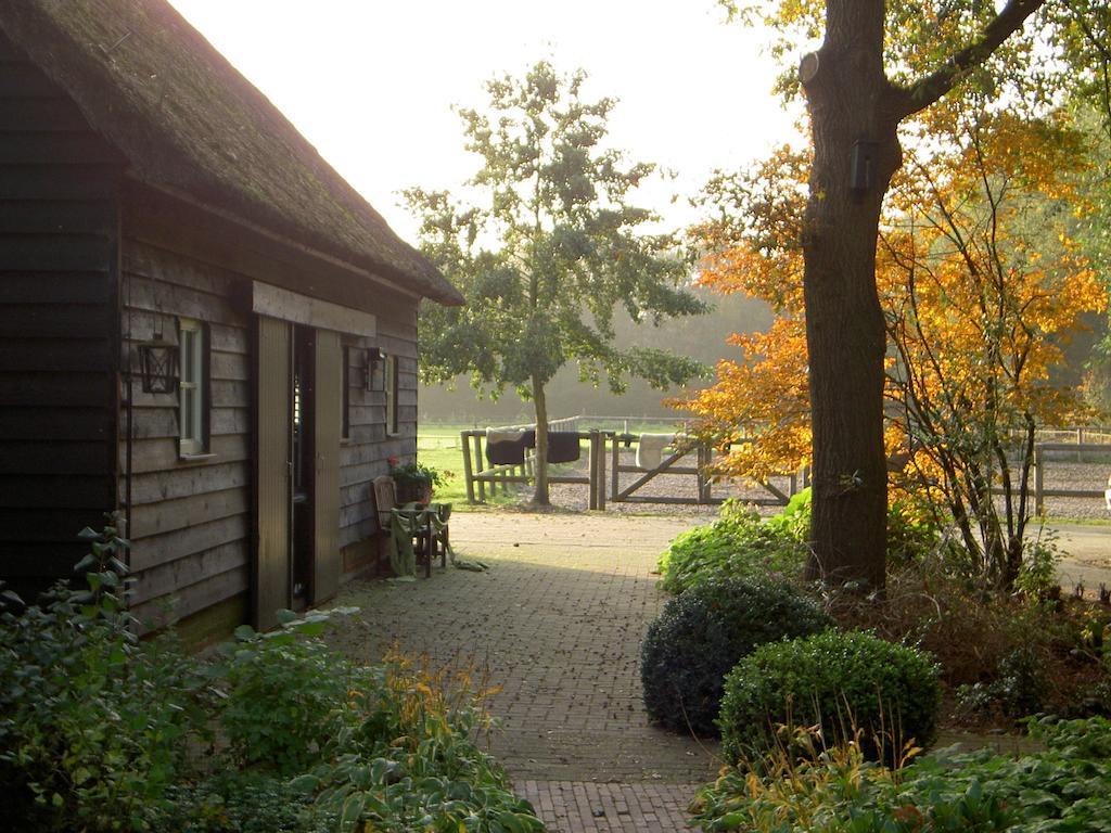 Hoeve Den Anholt Ruinen Exterior photo