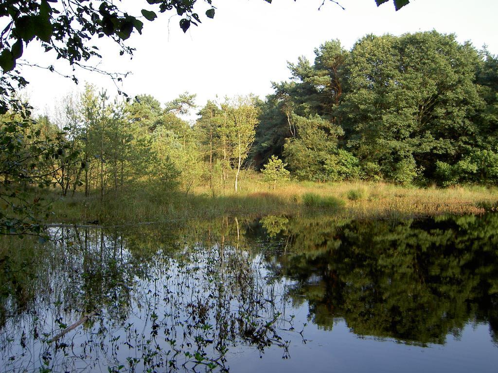Hoeve Den Anholt Ruinen Exterior photo