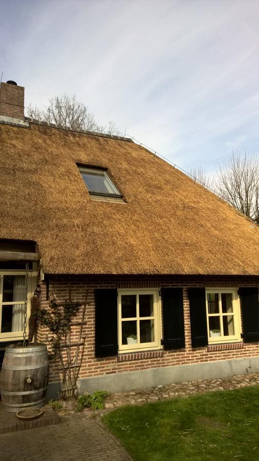 Hoeve Den Anholt Ruinen Exterior photo