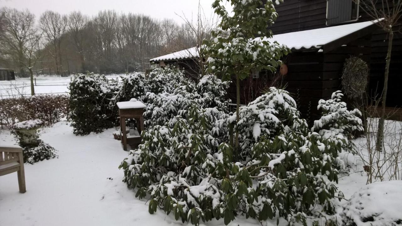 Hoeve Den Anholt Ruinen Exterior photo