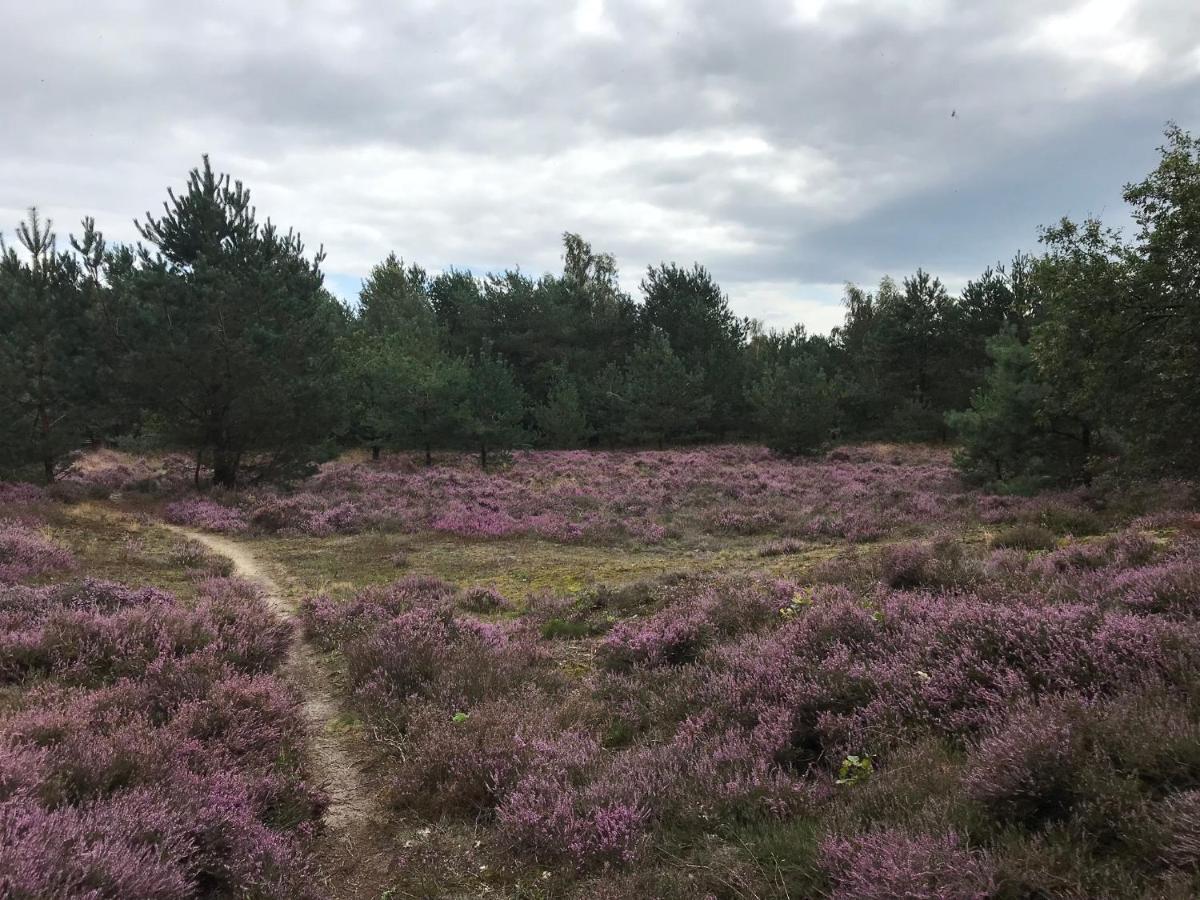 Hoeve Den Anholt Ruinen Exterior photo