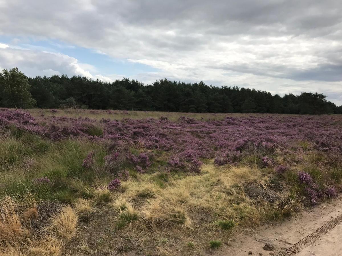 Hoeve Den Anholt Ruinen Exterior photo
