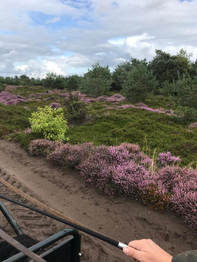 Hoeve Den Anholt Ruinen Exterior photo