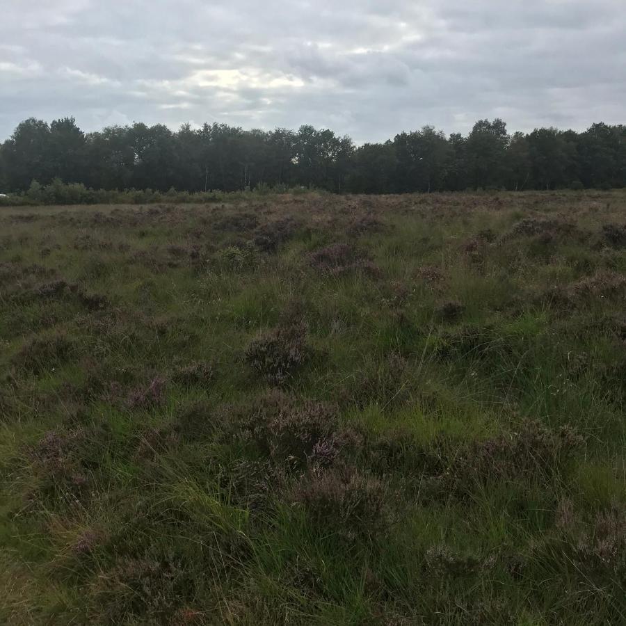 Hoeve Den Anholt Ruinen Exterior photo